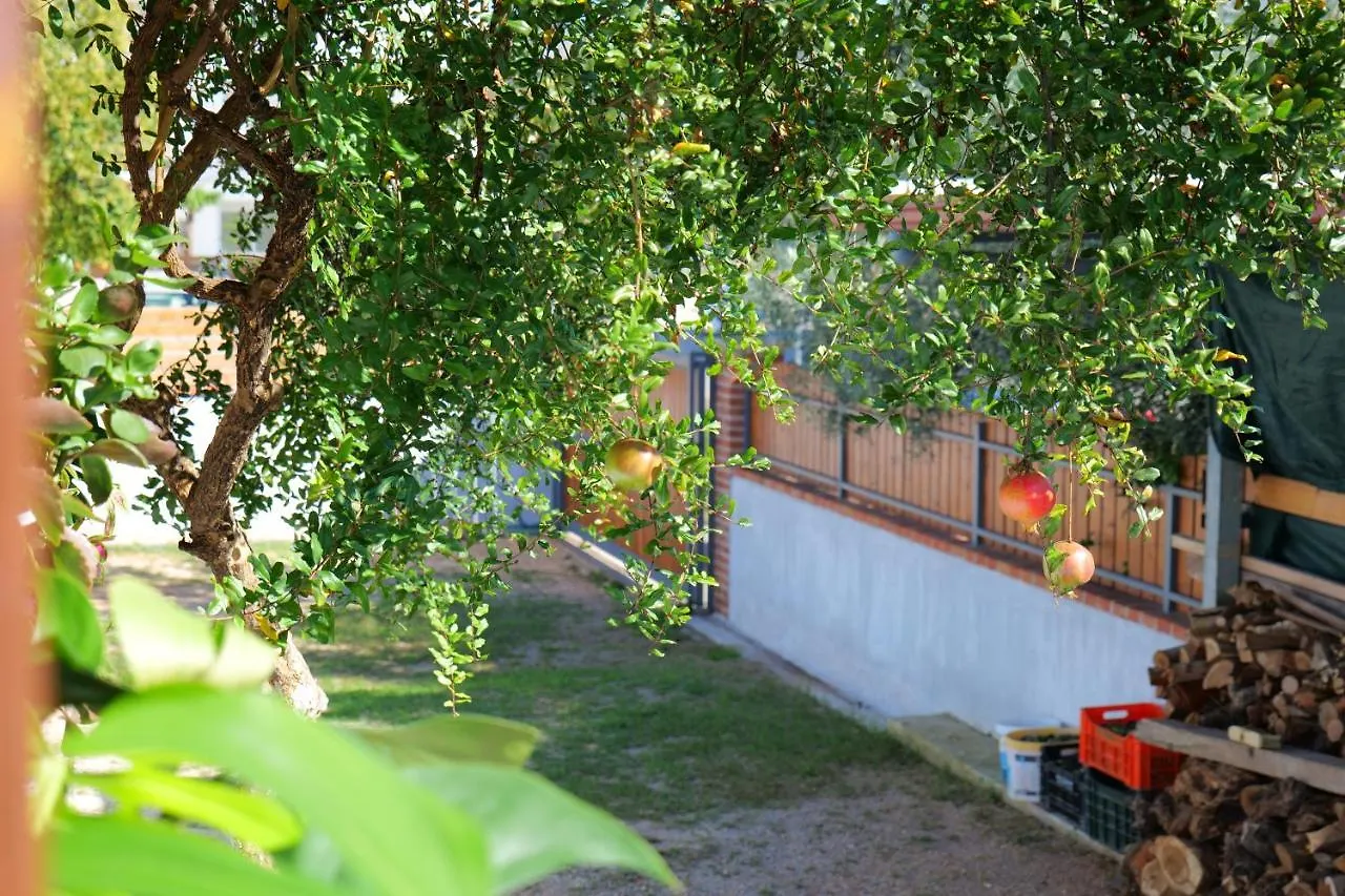 Stela Apartments Ksamil Albania
